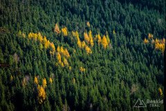 IMG_0250