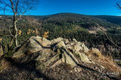 IMG_0252