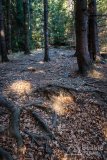 IMG_0257