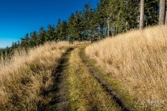 IMG_0259