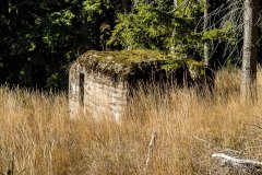 IMG_0261