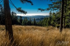 IMG_0262
