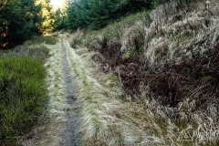 IMG_0264