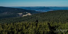 IMG_0268