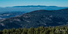 IMG_0269