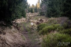 IMG_0275