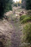 IMG_0276