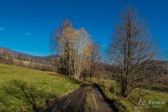 IMG_0285