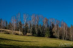 IMG_0286