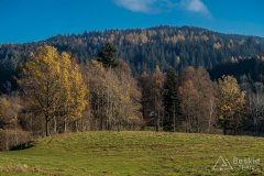 IMG_0287