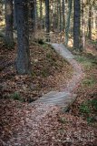 IMG_0289