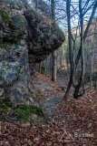 IMG_0293