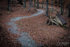 IMG_0296