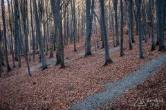 IMG_0297