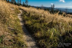 IMG_0298