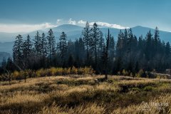 IMG_0299
