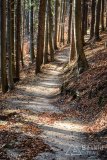IMG_0300