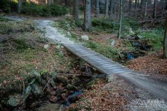 IMG_0302