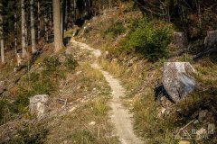 IMG_0303