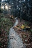 IMG_0305