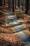 IMG_0306