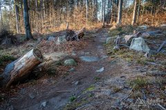 IMG_0313
