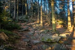 IMG_0317