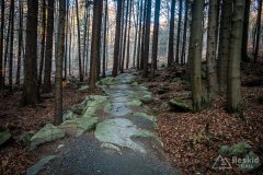IMG_0318