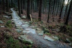 IMG_0319