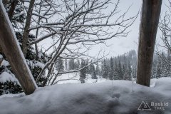 IMG_0532