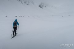 IMG_0533