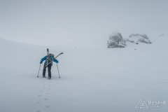 IMG_0535