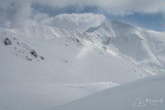 IMG_0542