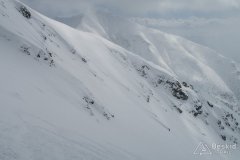 IMG_0551