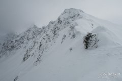 IMG_0554