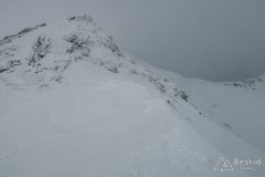 IMG_0557