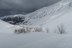 IMG_0569