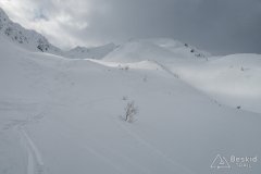 IMG_0570