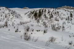 IMG_0574