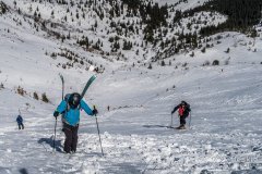 IMG_0590
