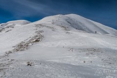 IMG_0591