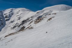 IMG_0594