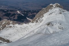 IMG_0598