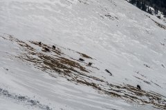 IMG_0611