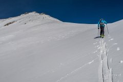 IMG_0627