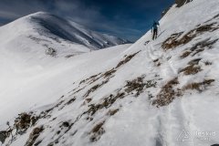 IMG_0638