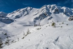 IMG_0642