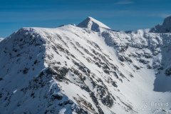 IMG_0659