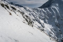 IMG_0703