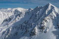 IMG_0708